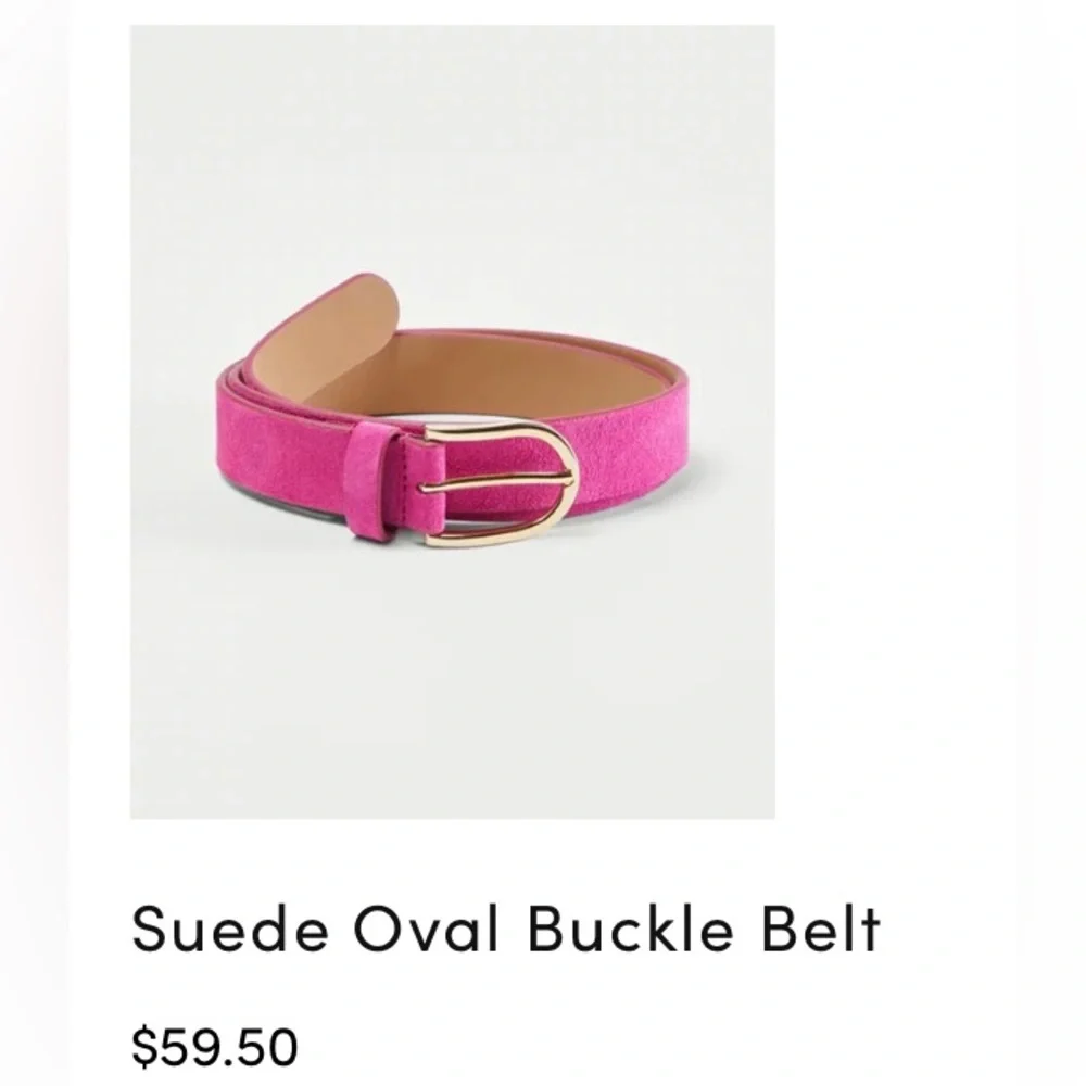 Ann Taylor suede oval buckle belt